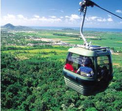 Many Choices of Other Tours and Activities Port Douglas